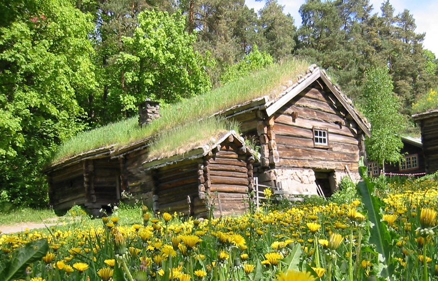 Tips for Your Log Cabin